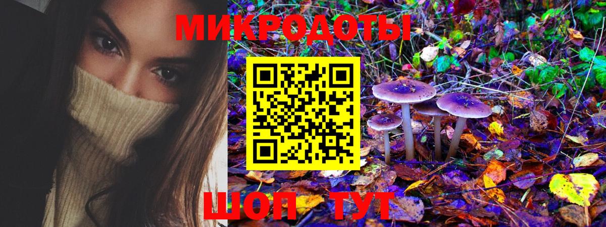 Галлюциногенные грибы Cubensis Йошкар-Ола