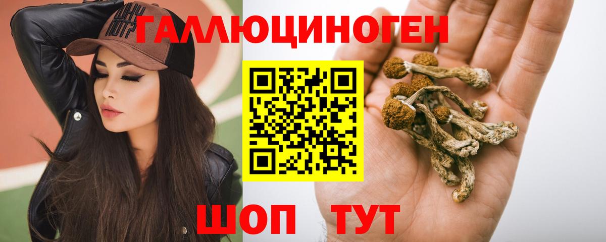 Галлюциногенные грибы MAGIC MUSHROOMS  дарнет шоп  Йошкар-Ола  Галлюциногенные грибы мухоморы  Вход с VPN 